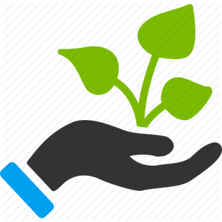 Agriculture and Livestock